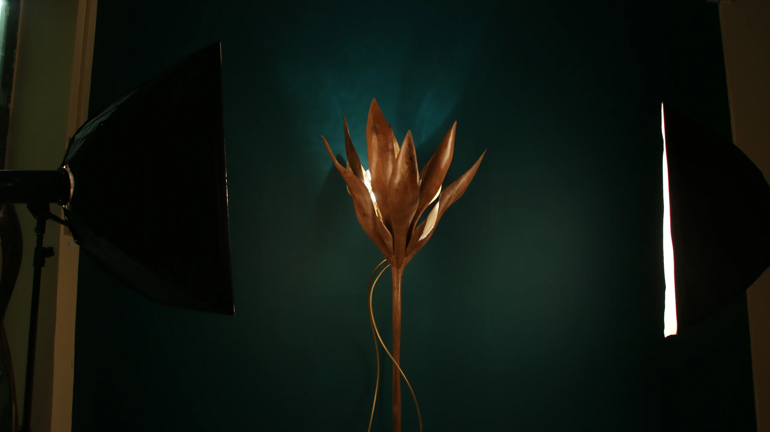 IMG 0320 scaled – Flowlight Design IMG 0320 scaled | Flowlight Design