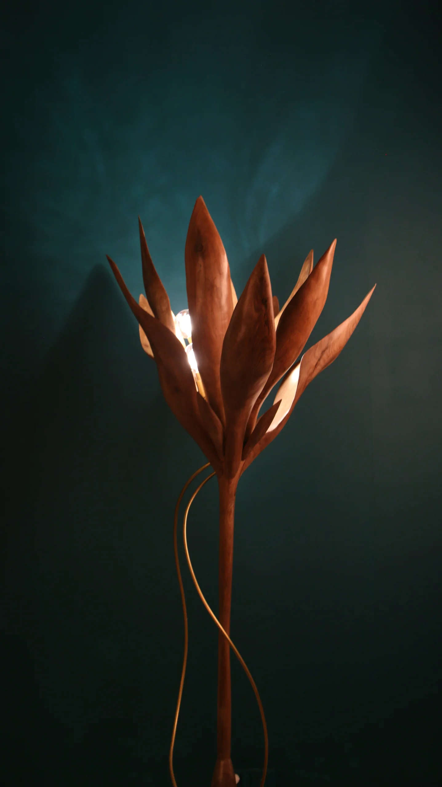 IMG 0329 scaled – Flowlight Design IMG 0329 scaled | Flowlight Design