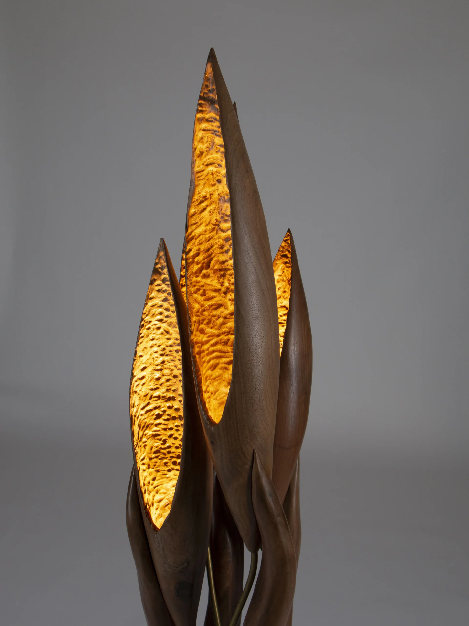21野蛮生长A00498 scaled – Flowlight Design 21野蛮生长A00498 scaled | Flowlight Design