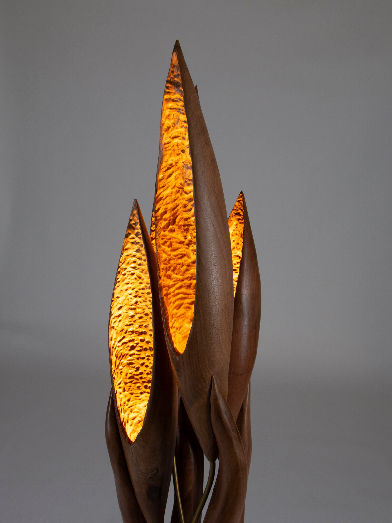 21野蛮生长A00498 scaled | Flowlight Design